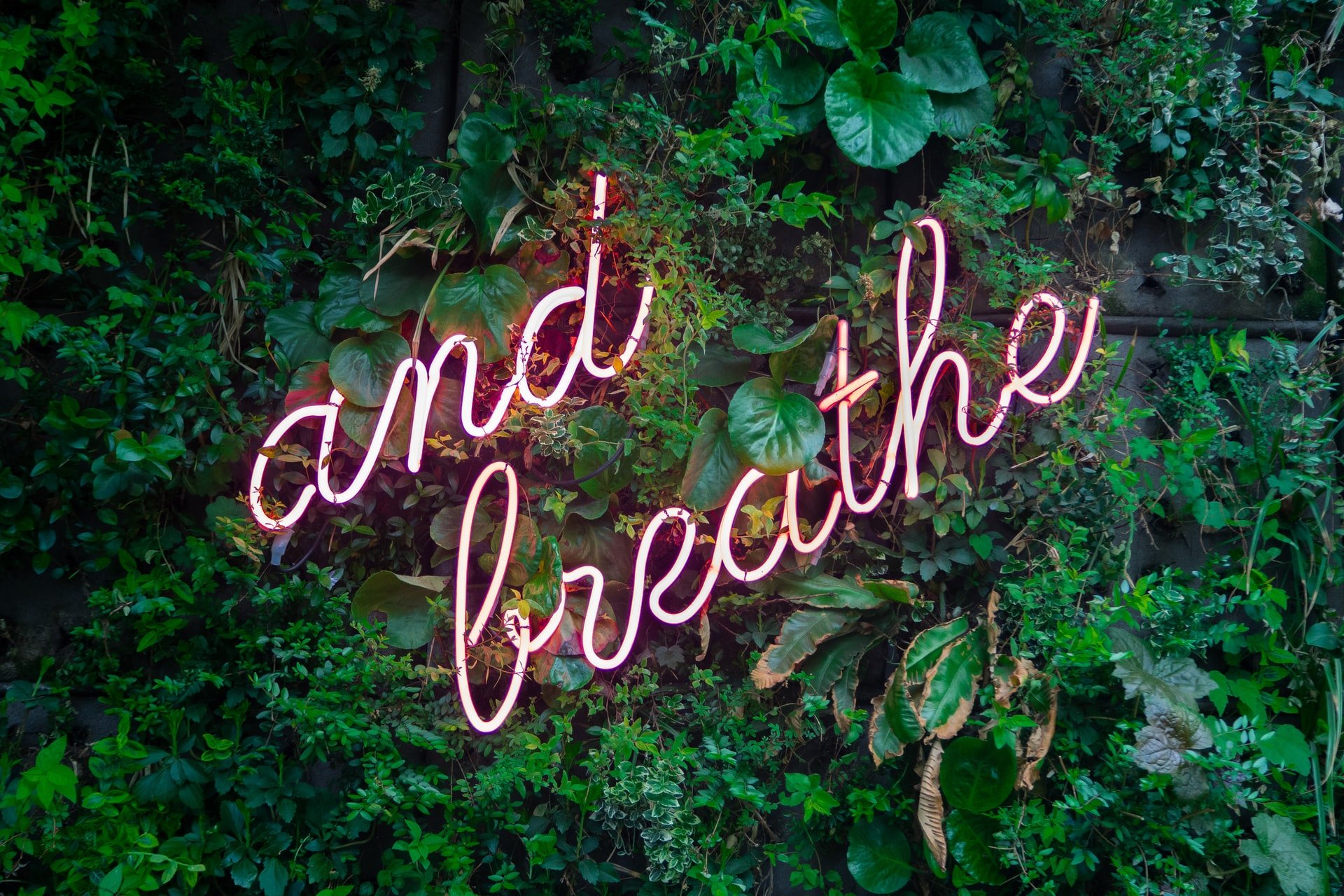 Red neon lettering spelling "and breathe" on a background of greenery