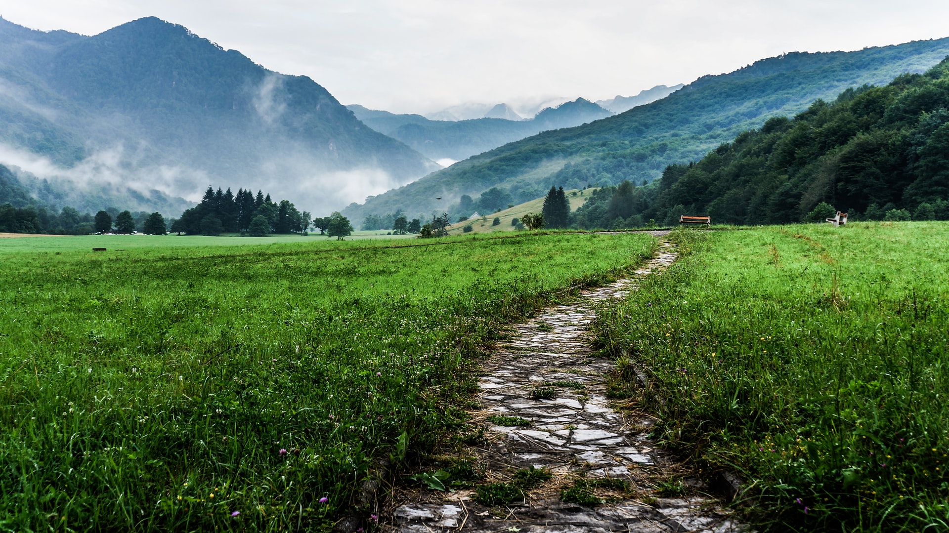 Cobbled path leading through a field into misty mountains